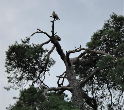 The Brand/Reality gap