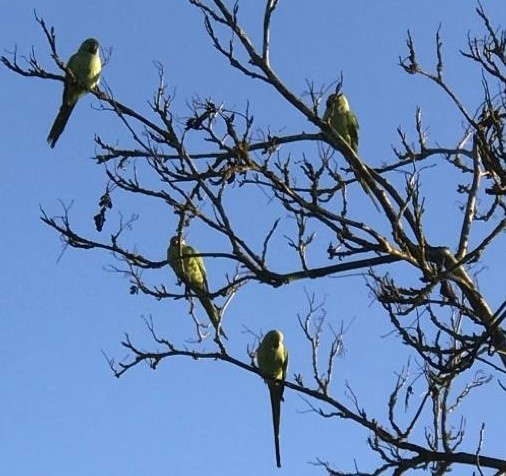 True ‘Customer’ insight