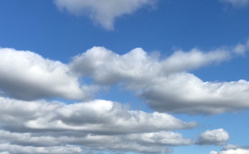 Coaching for Governance