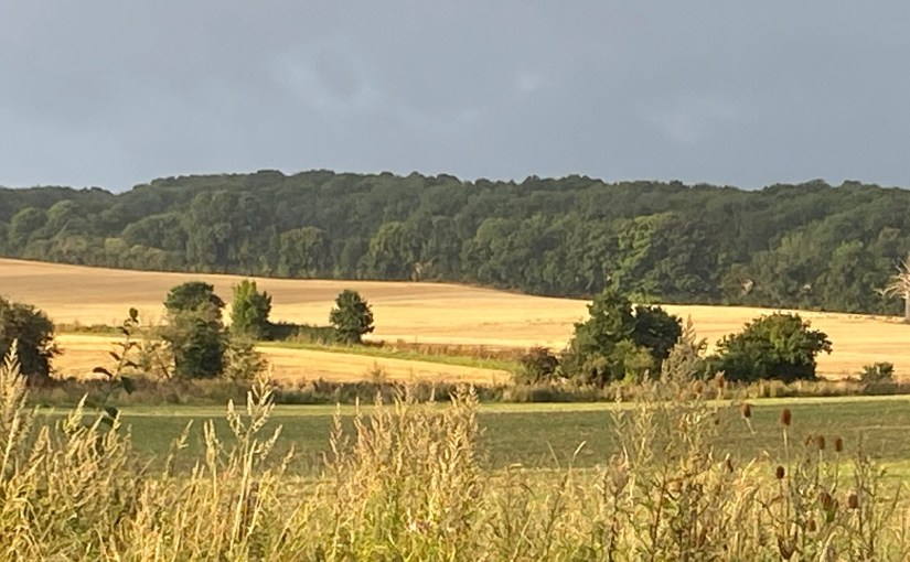 Building Better Boards