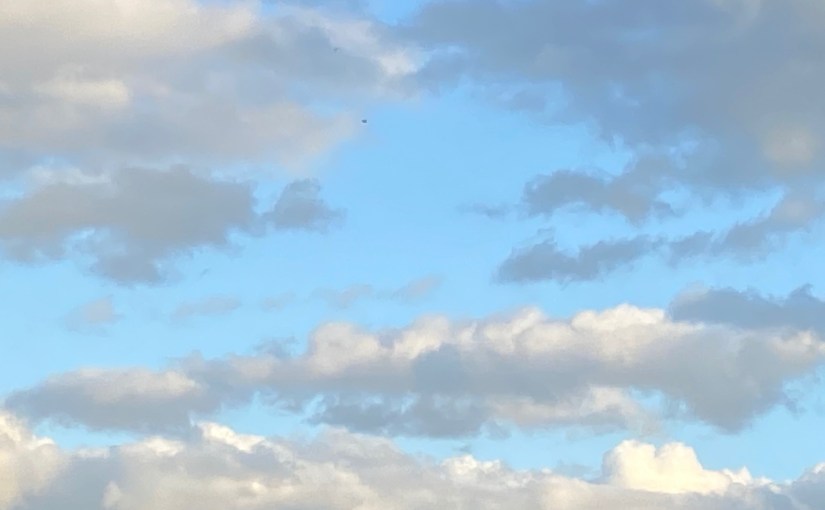 Non-Executive Director –&nbsp;insights