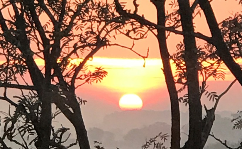 Board effectiveness is about asking the right&nbsp;questions